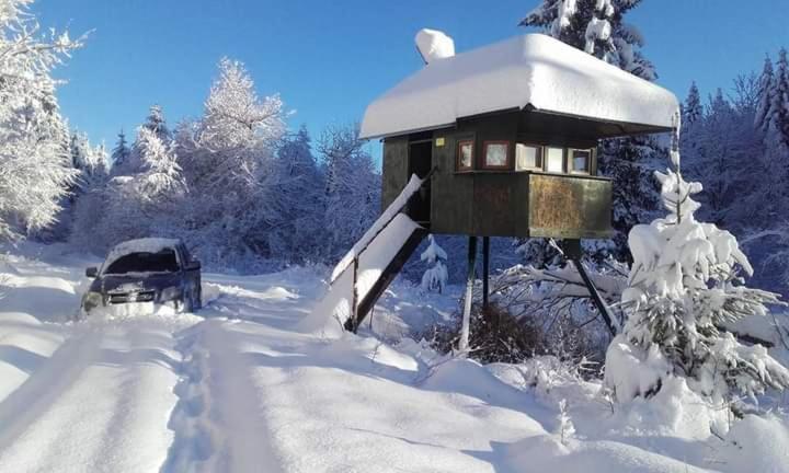 Apartman Gomirje Vrbovsko Exteriör bild