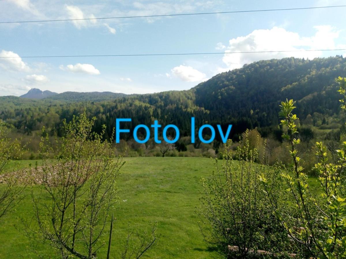 Apartman Gomirje Vrbovsko Exteriör bild