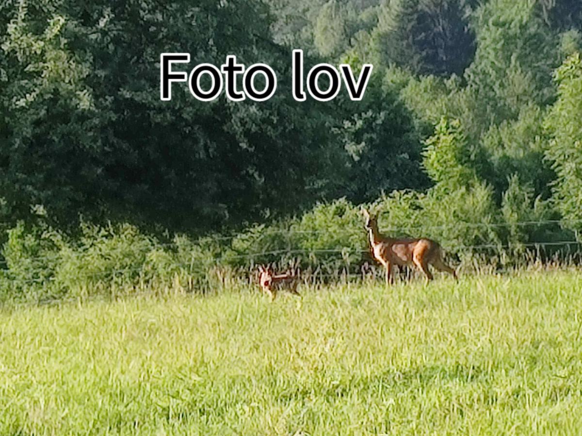Apartman Gomirje Vrbovsko Exteriör bild