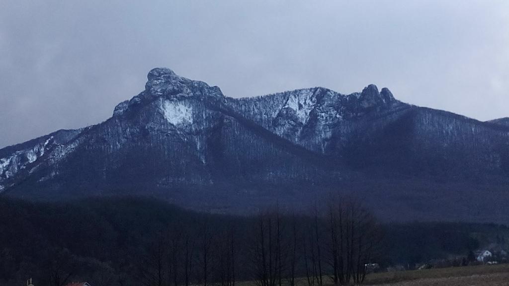 Apartman Gomirje Vrbovsko Exteriör bild