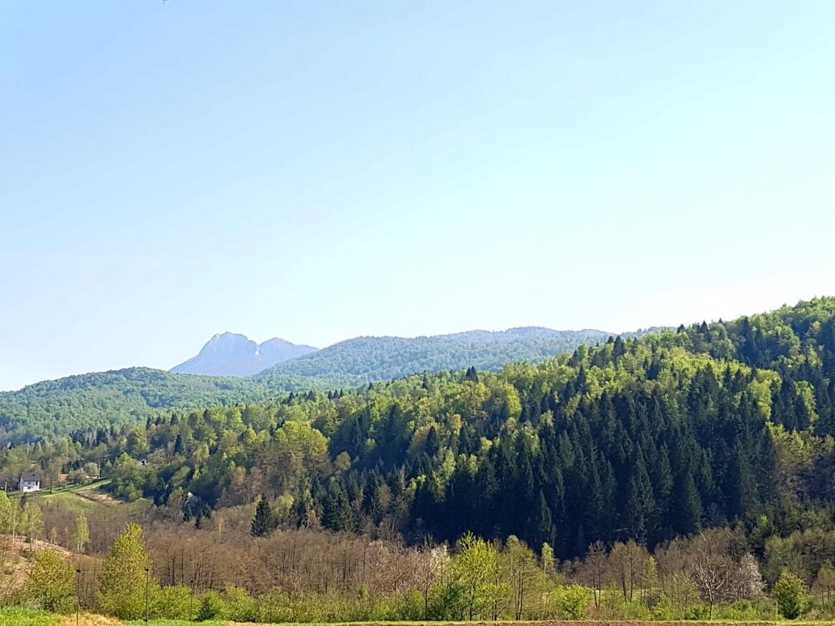 Apartman Gomirje Vrbovsko Exteriör bild